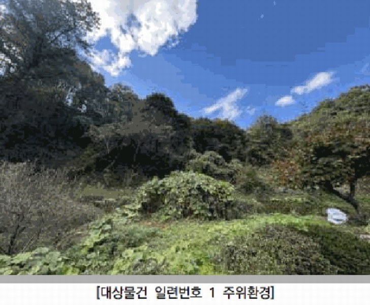 2025타경73311 경기도 포천시 영중면 금주리 산125 임야 경매 이미지