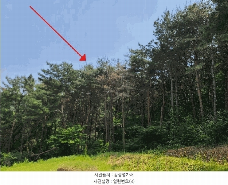 2025타경51350 충청남도 당진시 면천면 죽동리 285-6 임야 경매 이미지