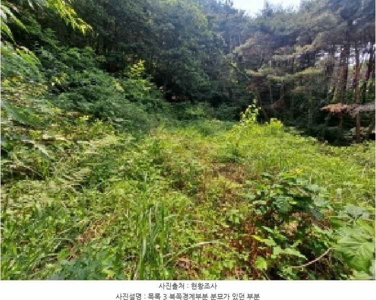 2025타경51350 충청남도 당진시 면천면 죽동리 285-6 임야 경매 이미지