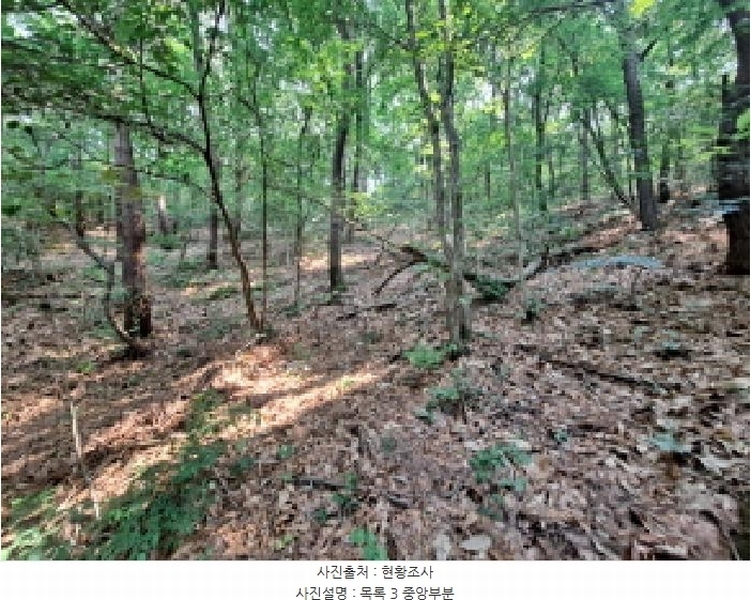 2025타경51350 충청남도 당진시 면천면 죽동리 285-6 임야 경매 이미지