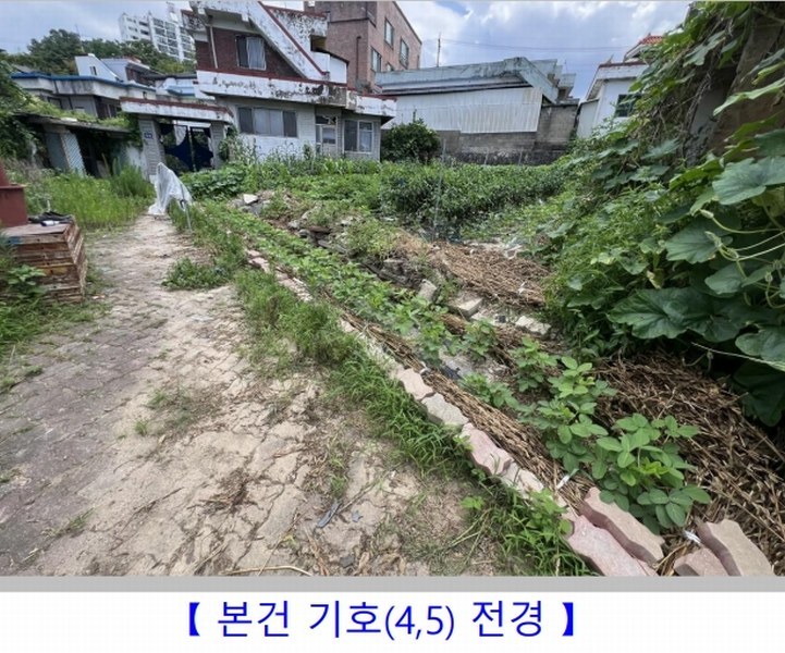 2024타경3704 충청북도 청주시 청원구 내덕동 407-47 대지 경매 이미지