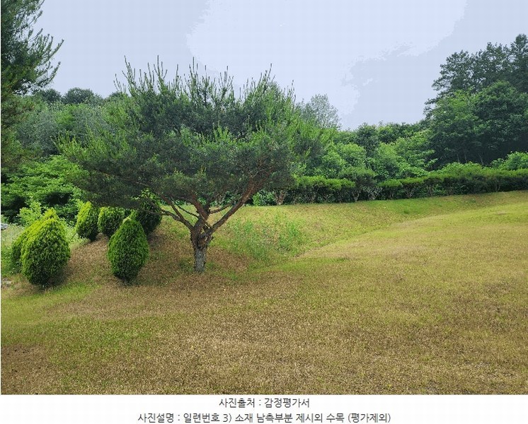 2025타경10148 충청북도 영동군 용산면 매금리 309 묘지 경매 이미지