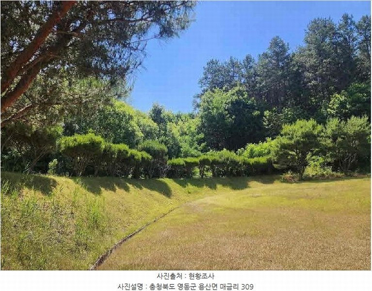 2025타경10148 충청북도 영동군 용산면 매금리 309 묘지 경매 이미지