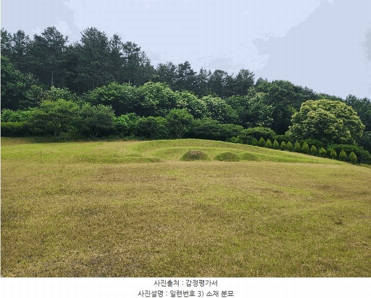 2025타경10148 충청북도 영동군 용산면 매금리 309 묘지 경매 이미지