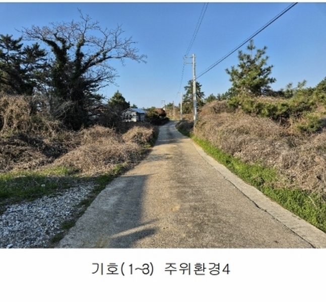 2024타경3185 제주특별자치도 제주시 한림읍 협재리 2267 농지 경매 이미지