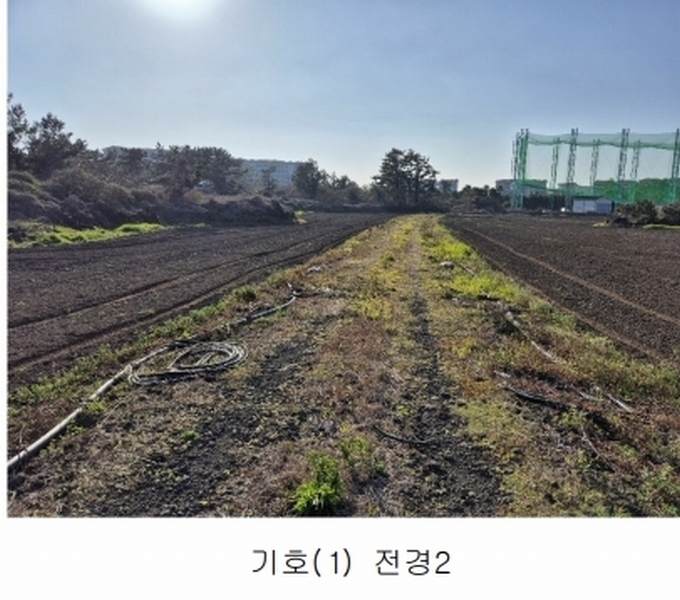 2024타경3185 제주특별자치도 제주시 한림읍 협재리 2267 농지 경매 이미지