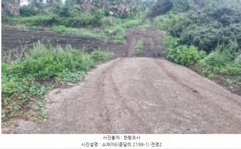 2025타경1597 제주특별자치도 제주시 구좌읍 종달리 2199-1 농지 경매 이미지
