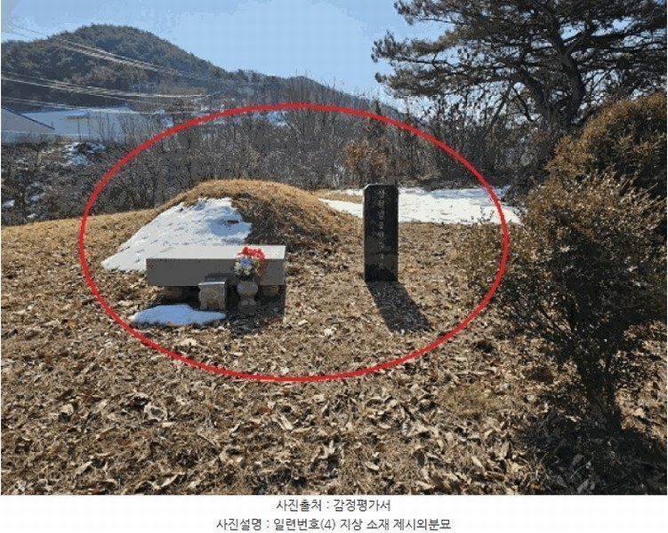 2025타경240 강원특별자치도 영월군 북면 문곡리 산116-10 임야 경매 이미지