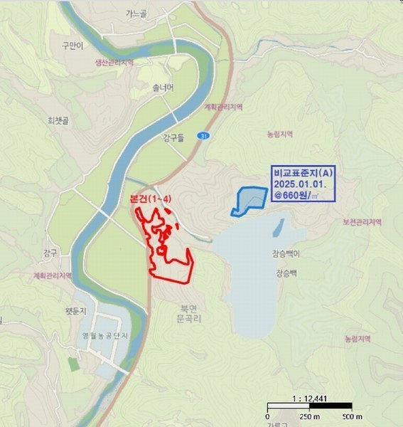 2025타경240 강원특별자치도 영월군 북면 문곡리 산116-10 임야 경매 이미지