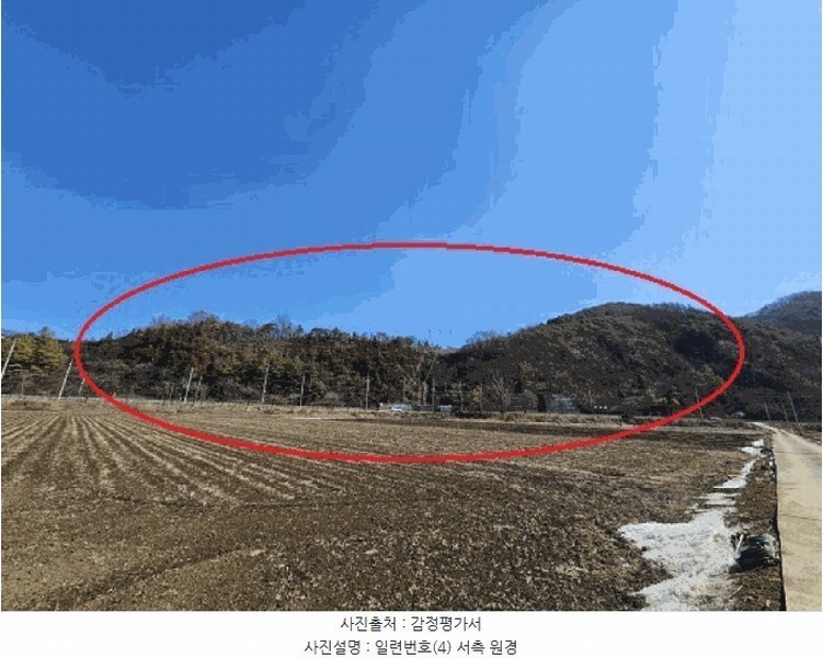 2025타경240 강원특별자치도 영월군 북면 문곡리 산116-10 임야 경매 이미지