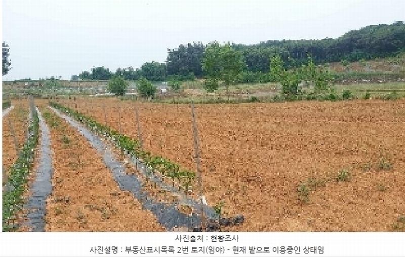 2025타경11746 충청남도 아산시 인주면 밀두리 산17-6 임야 경매 이미지