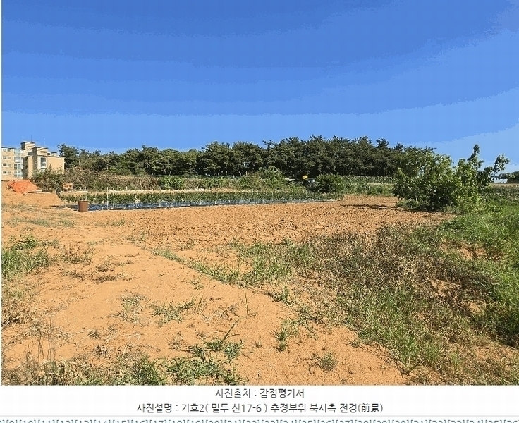 2025타경11746 충청남도 아산시 인주면 밀두리 산17-6 임야 경매 이미지