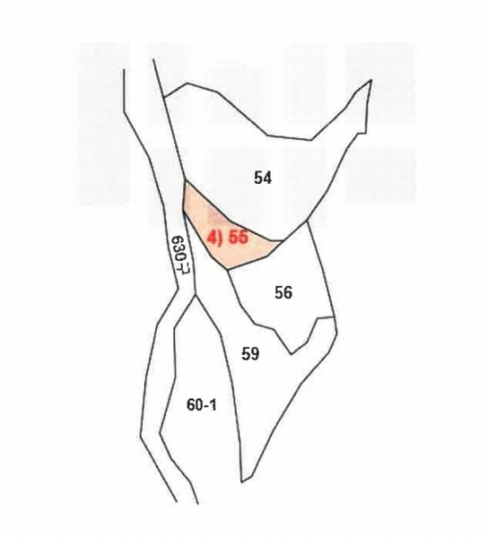 2025타경30550 충청북도 충주시 엄정면 유봉리 55 묘지 경매 이미지