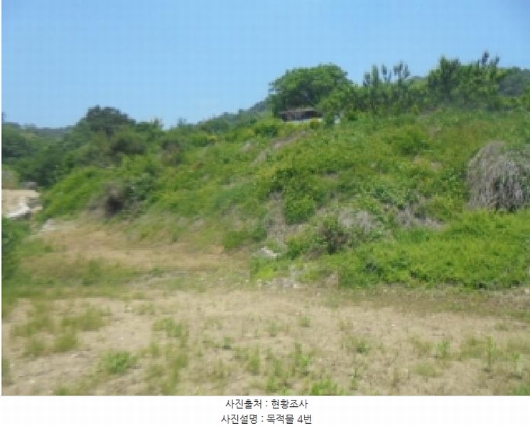 2025타경30550 충청북도 충주시 엄정면 유봉리 55 묘지 경매 이미지