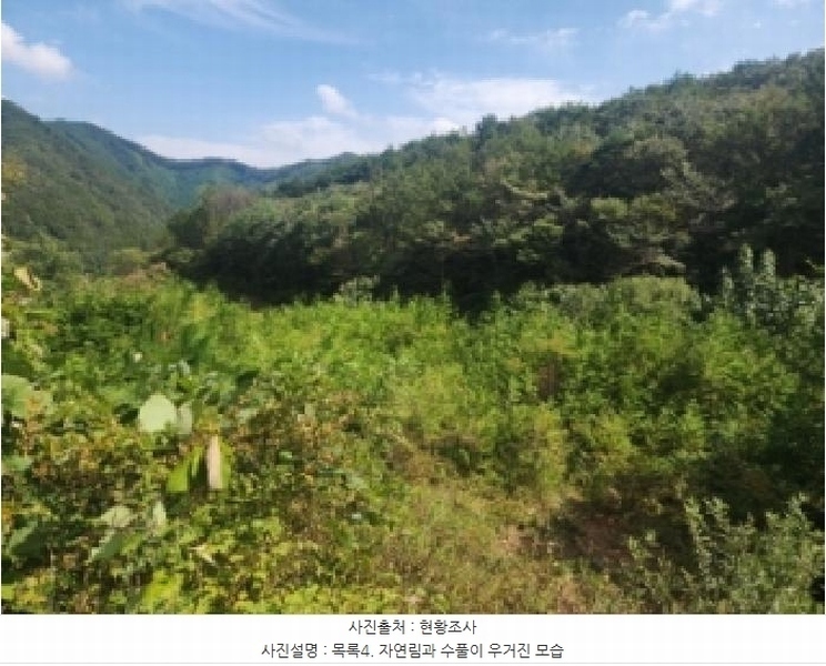 2025타경31721 전북특별자치도 진안군 주천면 운봉리 537-5 농지 경매 이미지