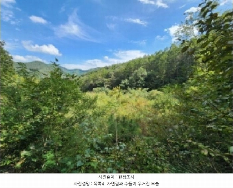 2025타경31721 전북특별자치도 진안군 주천면 운봉리 537-5 농지 경매 이미지