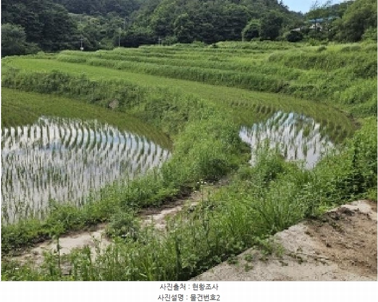 2025타경30856 경상남도 산청군 차황면 장박리 112-2 농지 경매 이미지