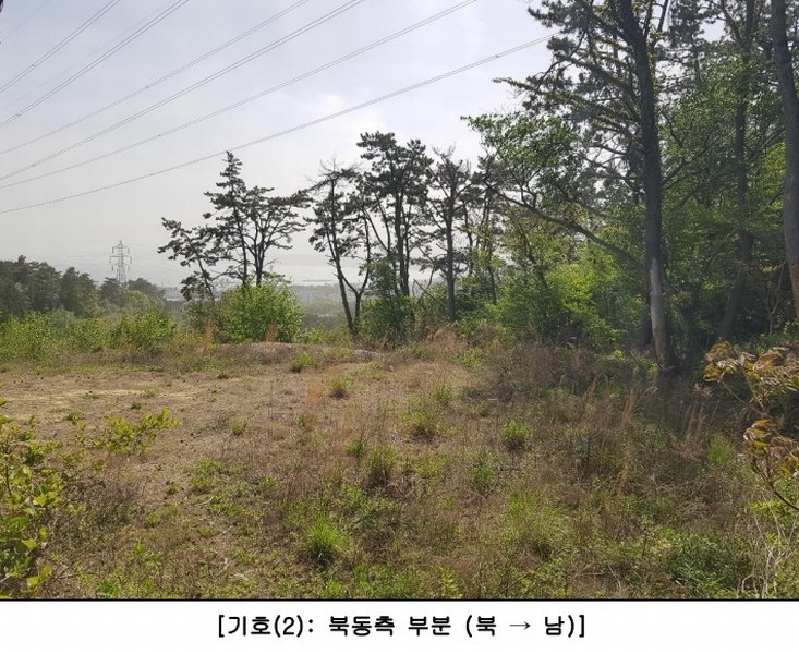 2024타경103828 부산광역시 기장군 장안읍 길천리 31-18 임야 경매 이미지