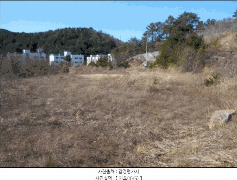 2025타경30448 강원특별자치도 삼척시 원덕읍 노곡리 산176-4 임야 경매 이미지