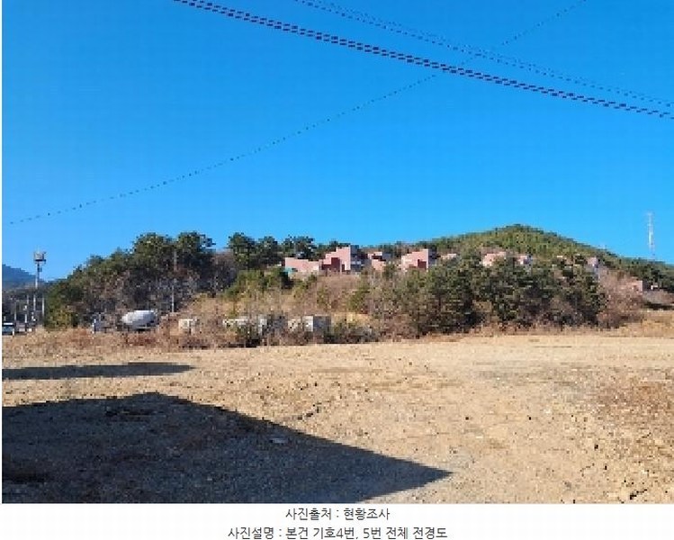2025타경30448 강원특별자치도 삼척시 원덕읍 노곡리 산176-4 임야 경매 이미지