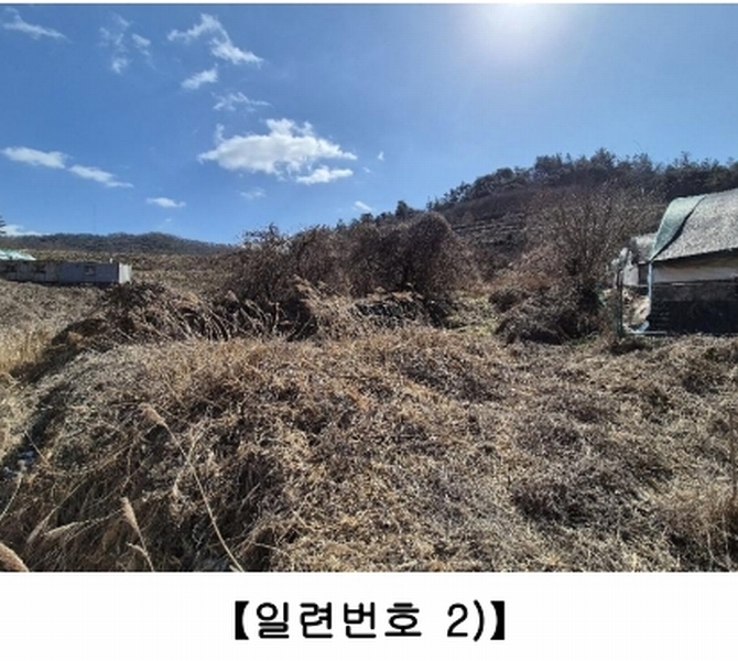 경매 이미지