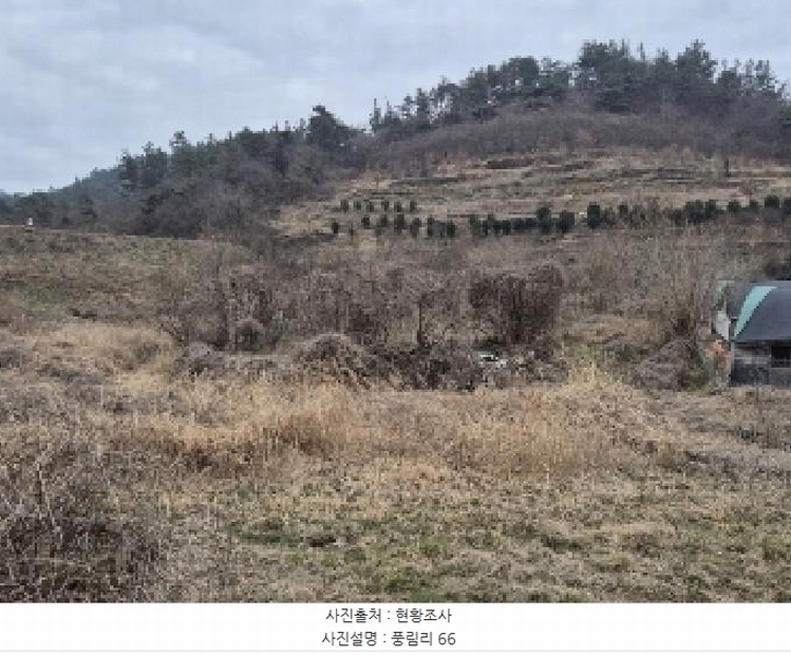 2025타경646 전라남도 나주시 남평읍 풍림리 66 농지 경매 이미지