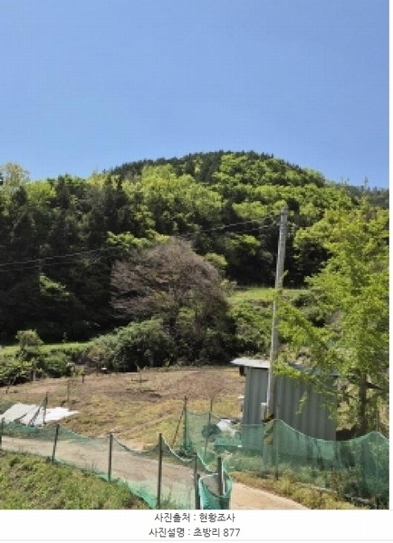 2025타경32556 전라남도 화순군 이양면 초방리 877 농지 경매 이미지