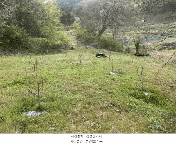 2025타경32556 전라남도 화순군 이양면 초방리 873 농지 경매 이미지