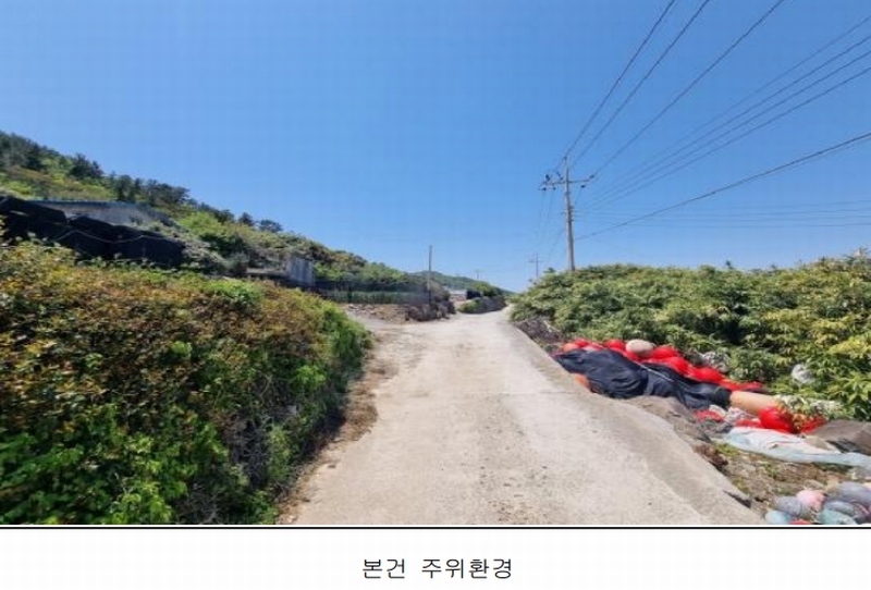 2025타경50443 전라남도 완도군 보길면 중통리 산230-2 임야 경매 이미지