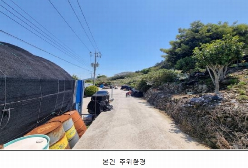 2025타경50443 전라남도 완도군 보길면 중통리 산230-2 임야 경매 이미지