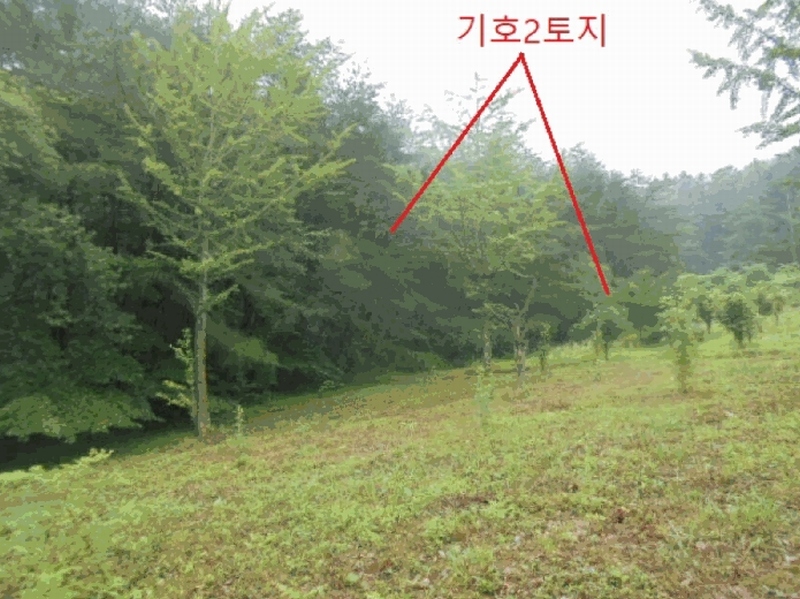 2025타경30646 충청북도 충주시 수안보면 미륵리 6 농지 경매 이미지