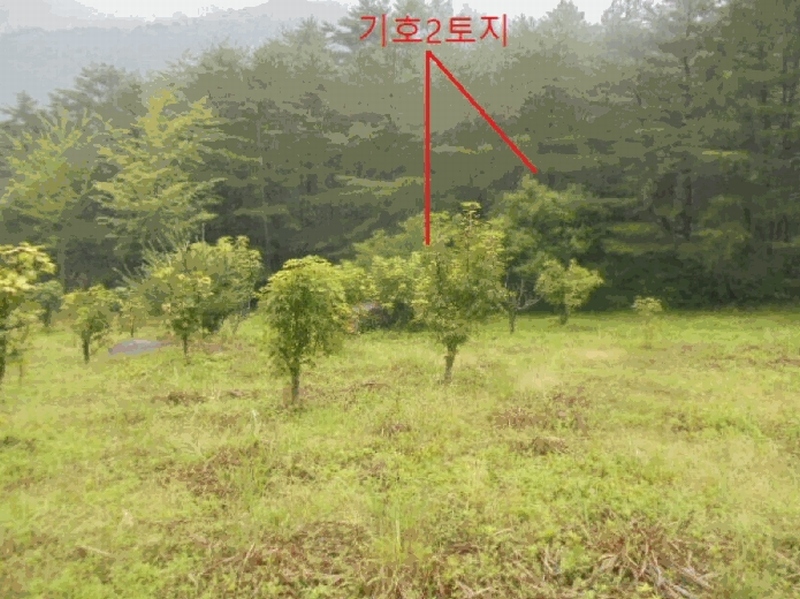 2025타경30646 충청북도 충주시 수안보면 미륵리 6 농지 경매 이미지
