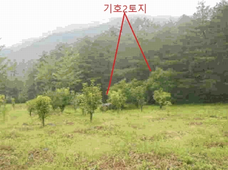 2025타경30646 충청북도 충주시 수안보면 미륵리 6 농지 경매 이미지