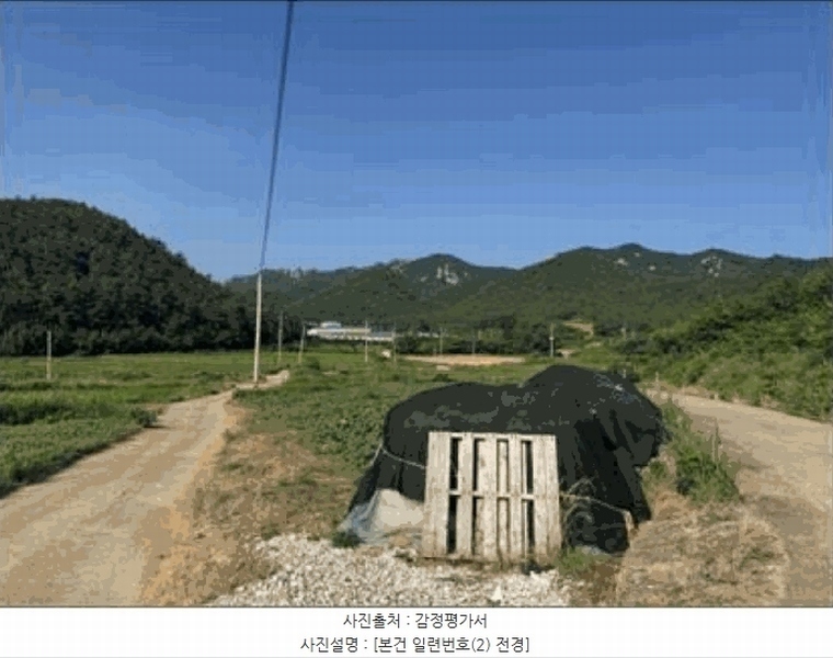 경매 이미지