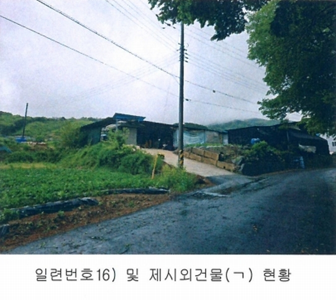 경매 이미지
