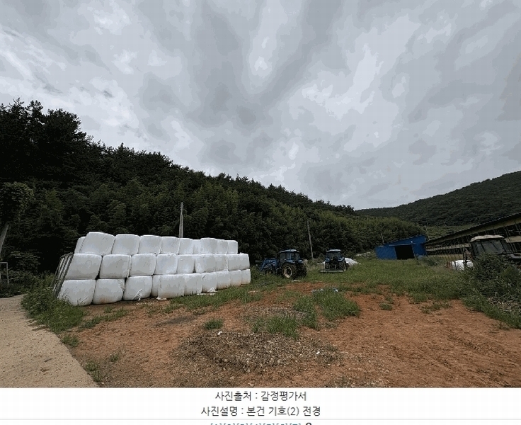 경매 이미지