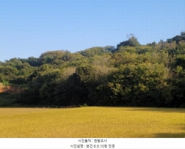 2025타경52021 전라남도 보성군 벌교읍 대포리 541-1 농지 경매 이미지