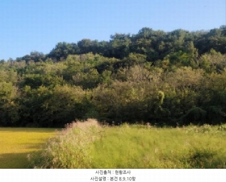 2025타경52021 전라남도 보성군 벌교읍 대포리 541-1 농지 경매 이미지
