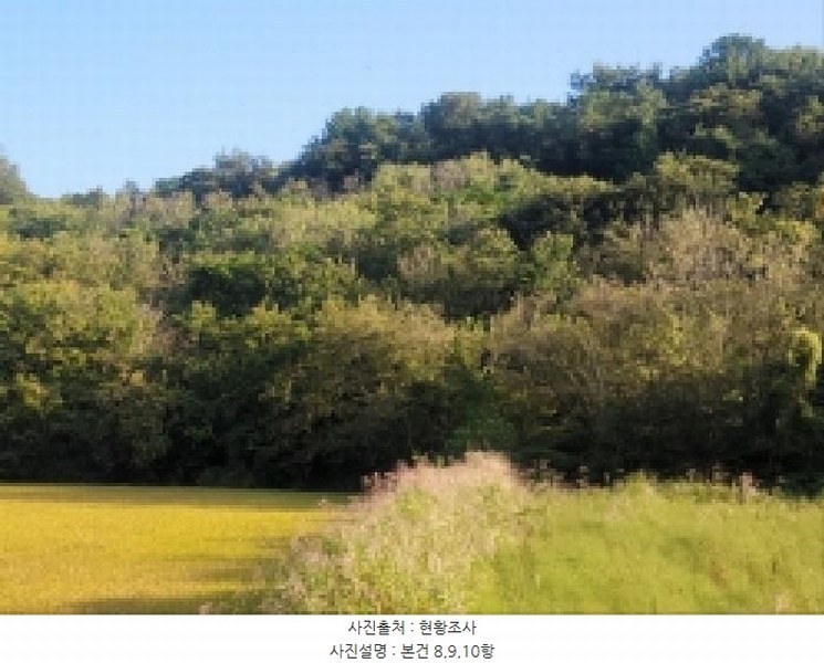2025타경52021 전라남도 보성군 벌교읍 대포리 541-1 농지 경매 이미지