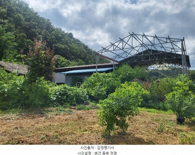 경매 이미지