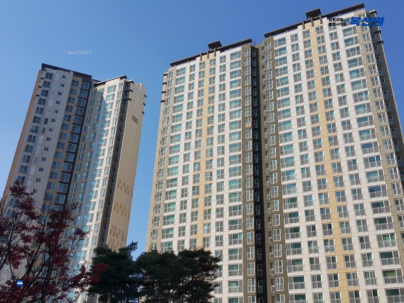 경매 이미지