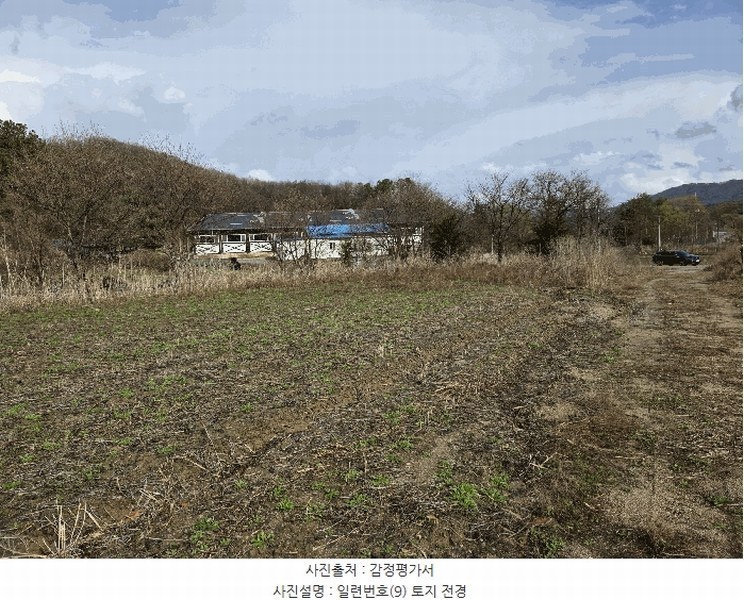 경매 이미지