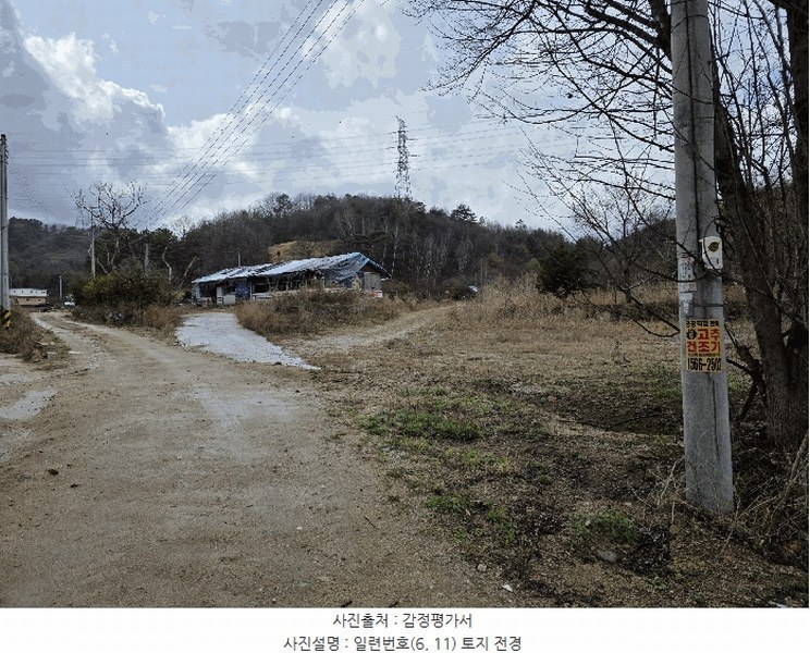 경매 이미지