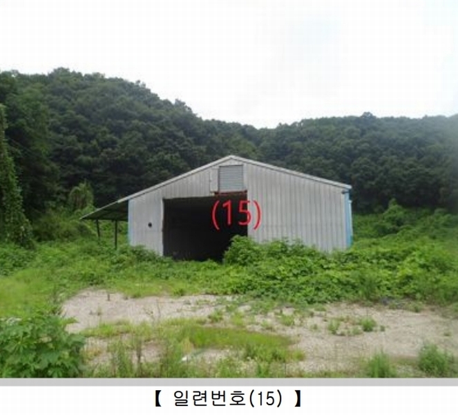 경매 이미지