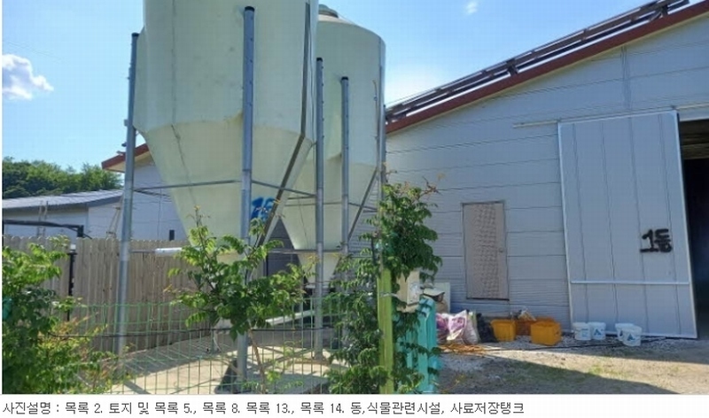 경매 이미지