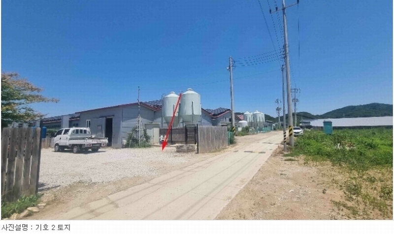 경매 이미지