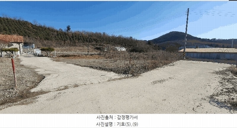 경매 이미지