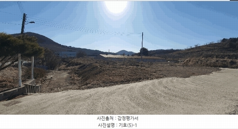 경매 이미지