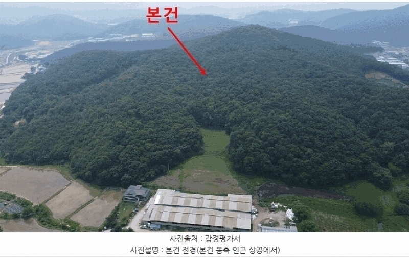 경매 이미지