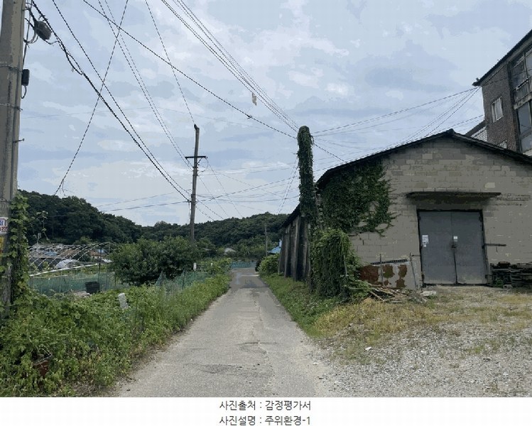 경매 이미지